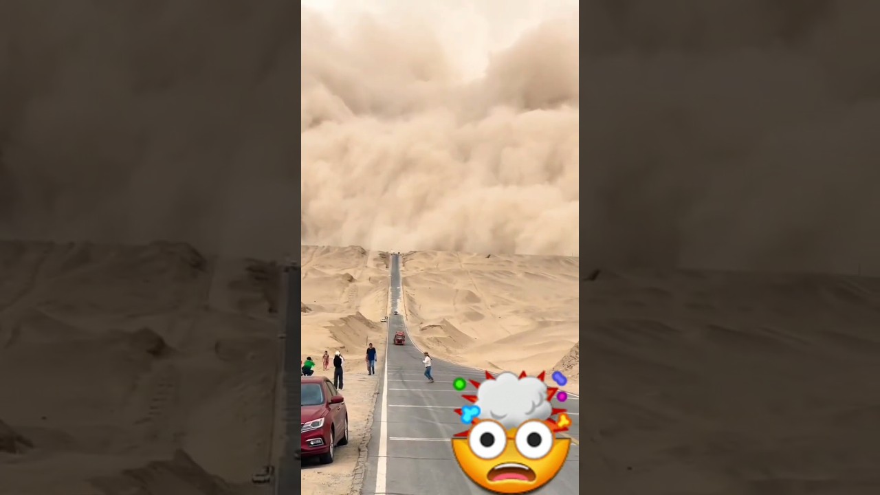 How Sandstorm lookalikes 🤯🤯🤯 