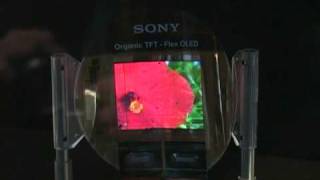 010809-idgns-sony-oled