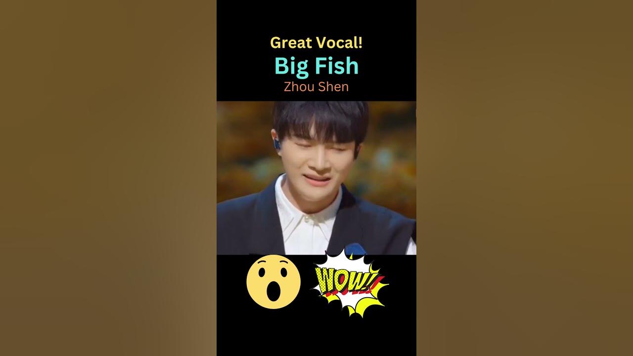 Beautiful Music! Great Vocal! Zhou Shen 周深. TikTok pan_6832