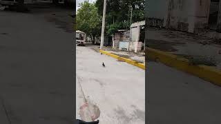 El Mante #rodando #elmante #rodandoxlaciudad