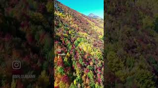 🍂 Arrowtown in Peak Autumn 🇳🇿 | New Zealand’s Most Colorful Town