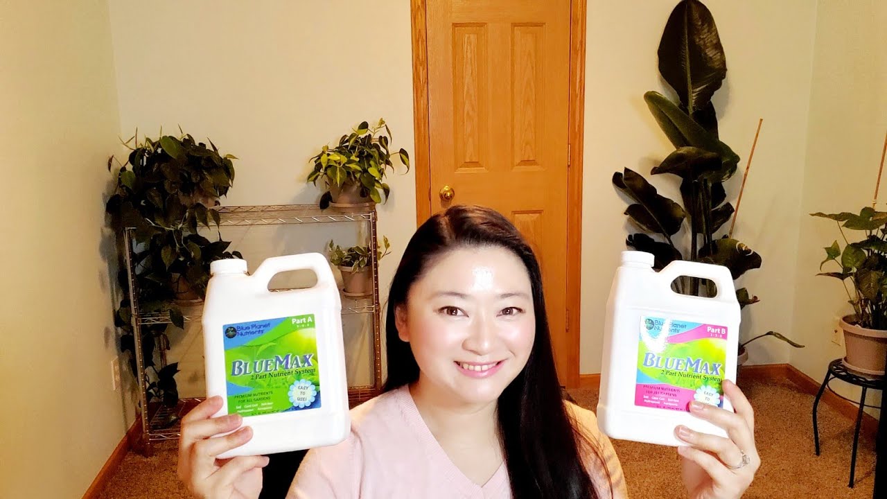 Blue Nutrients BlueMax Part A & Part B Review Gardening