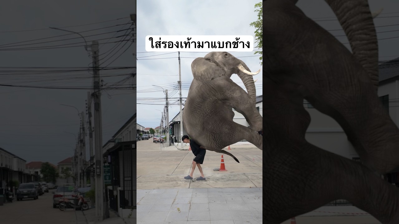 โชว์ใส่รองเท้าแบบขั้นเทพ😏 #addathailand