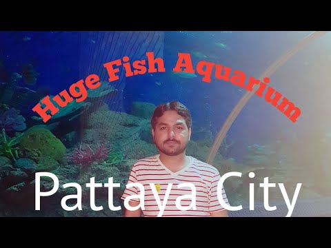 ⁣Pattaya City Thailand Travel Vlog (Urdu/Hindi)