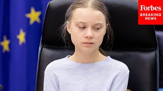 GOP Lawmaker Grills Greta Thunberg On 