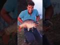 Adam Penning TRAILER! #carp #carpangler #fishing #legend #carplife #podcast #carpy #carp inspiration