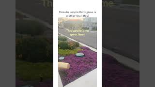 How do people think grass is prettier than this? (Via:jackslilsnoopy/tt) #funny #viral #shorts #fyp