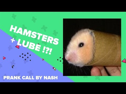 prank-call-reaction---hamster-and-lube-(prank-call-by-nash)