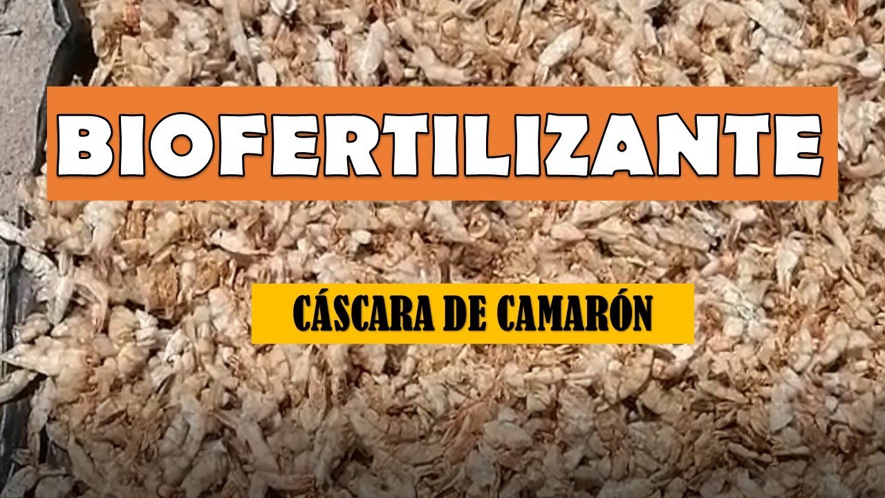 BIOFERTILIZANTE | QUITOSANO