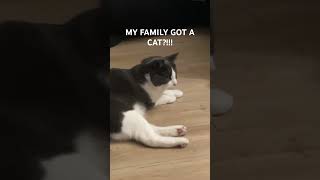 Boy,Namepablo.ahhhhhh-