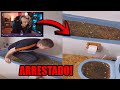 Frances obstruye toda la canalizacion de su pueblo e ira a prision rubius reacciona