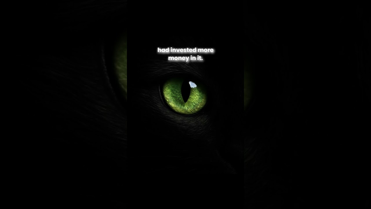 Dark Side - Sunk Cost