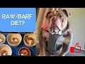 Tips and Tricks on Prep and Feeding Raw/BARF Diet