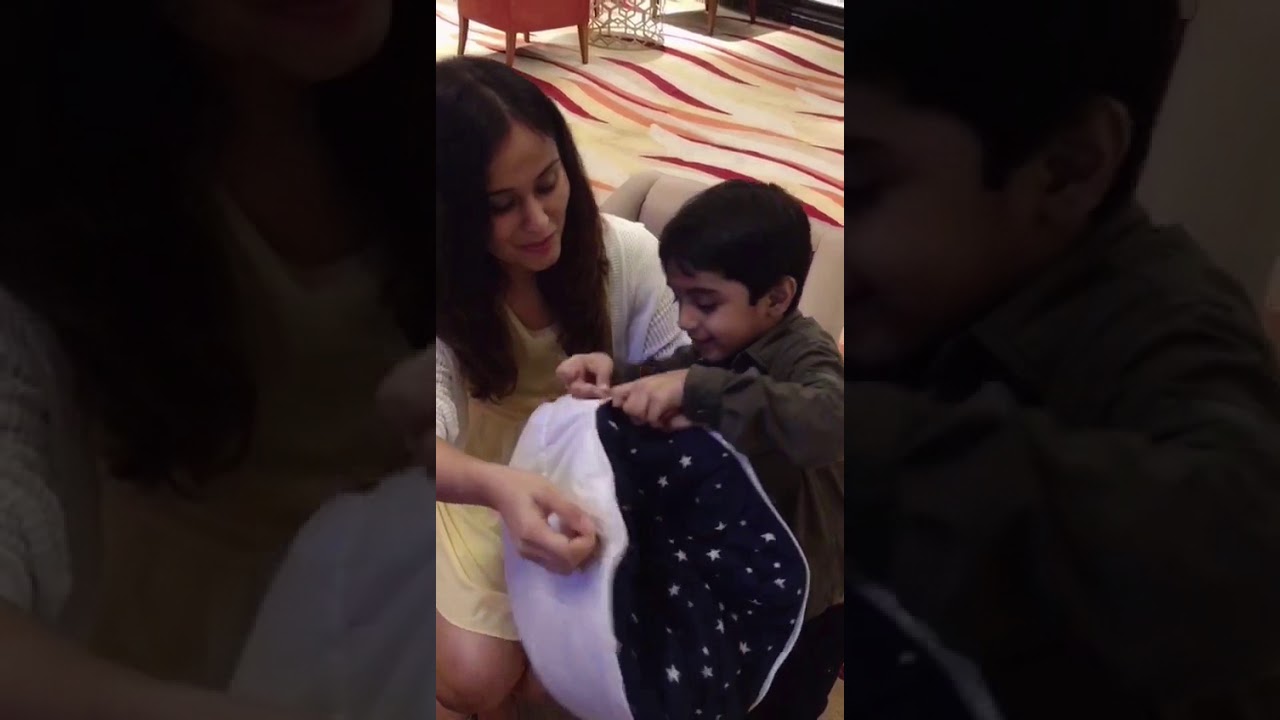 Travel Cushion cum Quilt (crest)