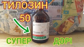 Ұсақ малға таптырмас дәрі.ТИЛОЗИН 50.Самые хороший препарат.