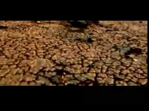 Ranker Video