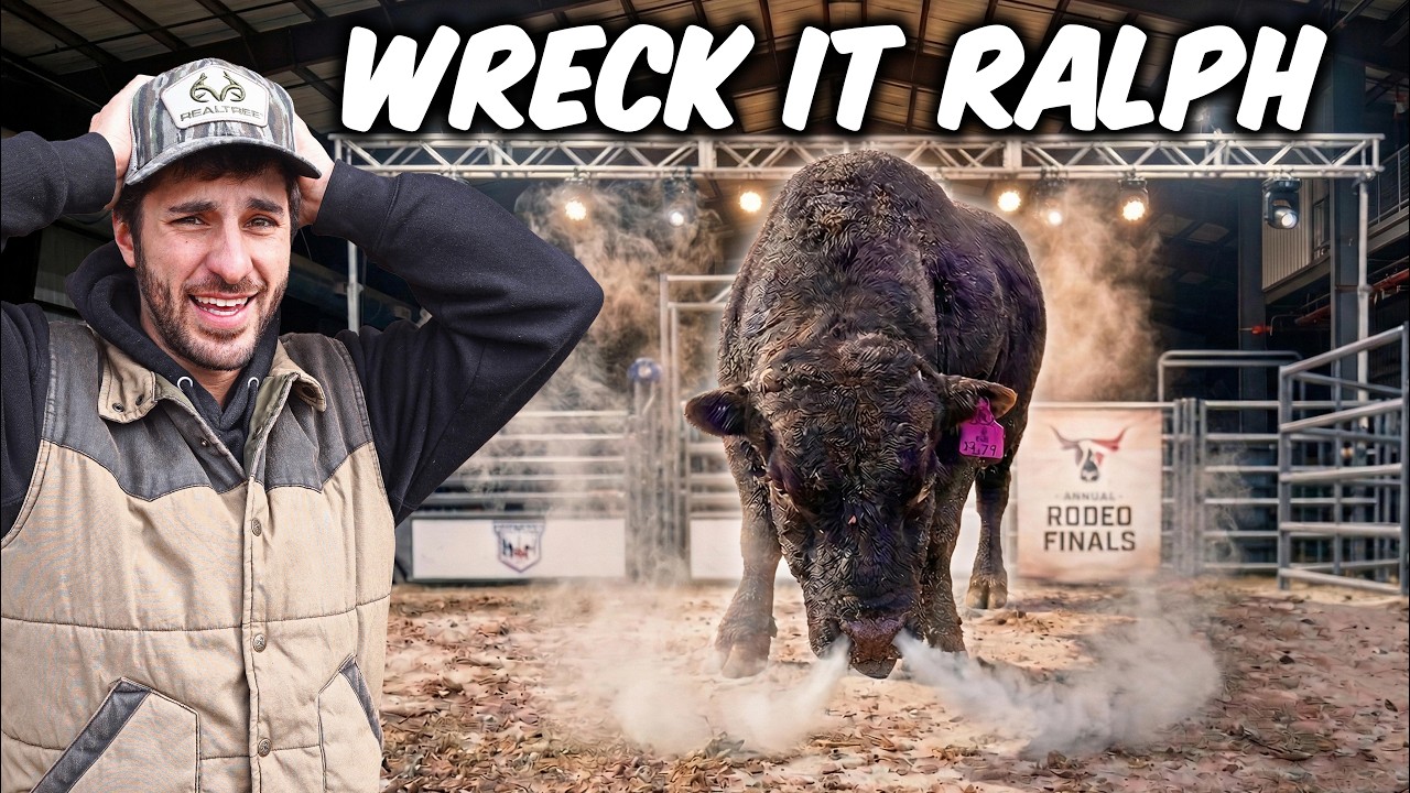 We Took Our ANGRY MINI BULL To A Rodeo!