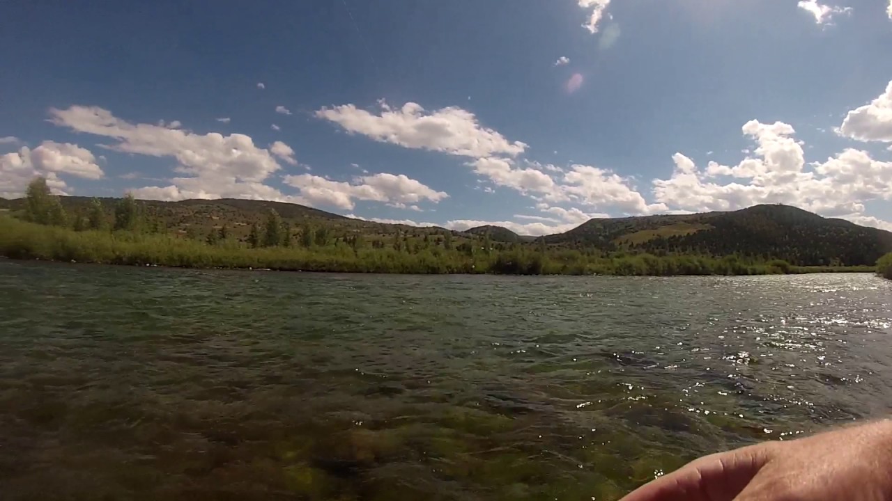 Fly fishing White River, Colorado YouTube