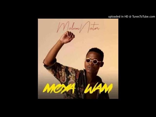 MalumNator-Umlilo ft. De Mthuda & Ntokzin