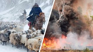 Кыргызстан замело снегом. В Беларуси горят леса. Погода в СНГ
