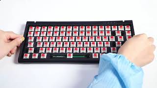 RGB Backlit,  2.4G + BT + Wired One Triple Modes MK59 丨KEYCEO