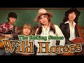 THE ROLLING STONES - Wild Horses ( The Lady shelters cover )