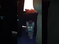 IMG 0169