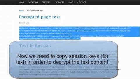 TC-Image: Decrypting a live web page content