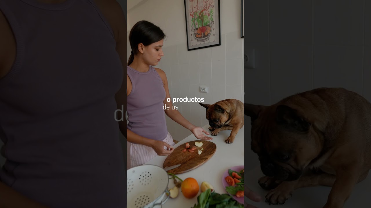 Día Mundial de Perro 2026