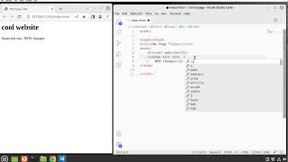 0026 How to insert new lines into HTML5 code