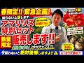 【緊急企画】まだ間に合う⁉︎アマリリス特別セット販売‼︎Ver618【カーメン君】【チューリップ】【球根】【宿根草】