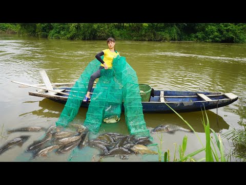 Harvesting fish - Bagua net catch many fish go to the village to sell - Green forest free bushcraft