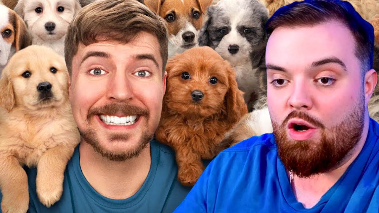 IBAI Reacciona a ¡Rescaté 100 Perros Abandonados! de MrBeast