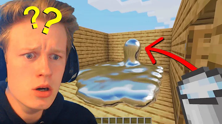 I Made my Friends Minecraft world way too Realisti...