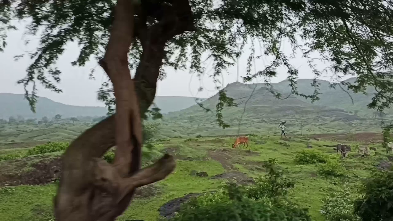 Travel || Rainy Day ☔ || Greenery|| 