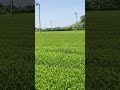 Чаёк в Японии