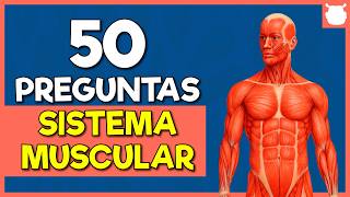 50 Preguntas sobre el Sistema Muscular | Trivia de Anatomía Humana