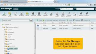 How to access cPanel File Manager