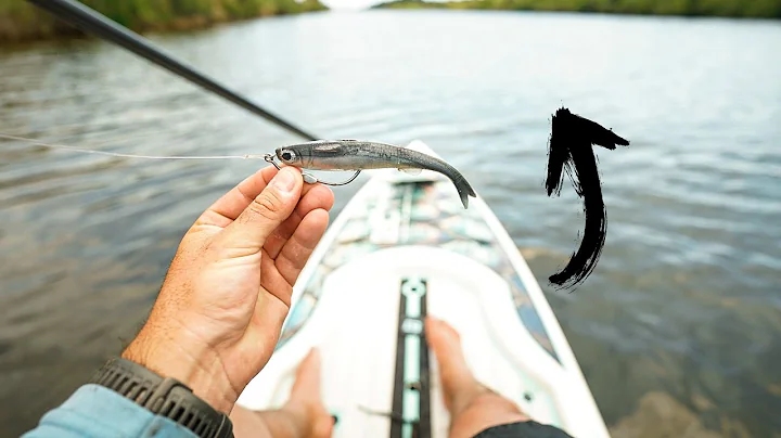 MONSTER SNOOK Fishing from my Paddleboard! (Bigges...