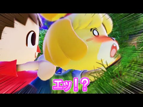 【衝撃】殿堂入りボケてがツッコミどころ満載すぎるｗｗｗ#4【どうぶつの森】【スマブラ】【ツッコミ系youtuber】