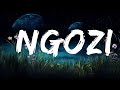 Crayon, Ayra Starr - Ngozi (Lyrics)  | 1 Hour Lyla Lyrics