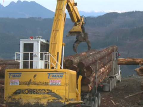 Log Loading Safety - It's Everyone's Responsibility