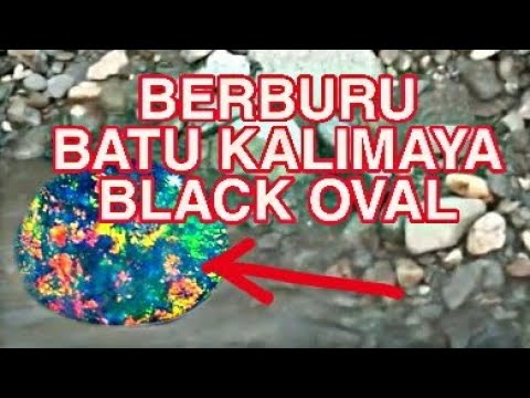 Batu CinCin KALIMAYA BLACK OPAL Top - 5 Maret 2020. 