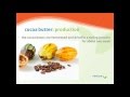 Food Grade Organic Cocoa Butter - Cold Pressed from Brazil