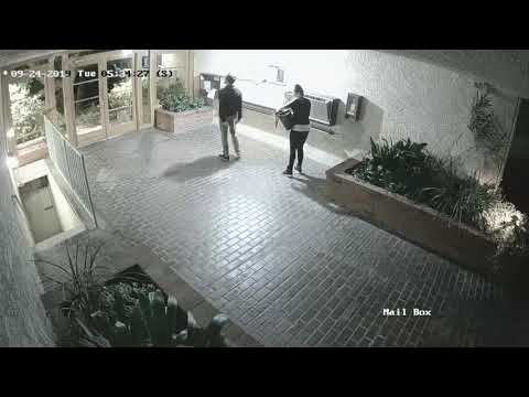 Mail Thieves Use