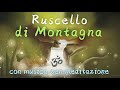 Ruscello di MONTAGNA - Musica Rilassante Zen per studio, relax, dormire