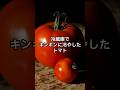 ９割が知らない冷えたトマトばかり食べると... #雑学 #料理