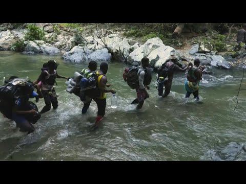 Récord de más de medio millón de migrantes han cruzado selva panameña este año | AFP