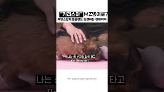 “카리스마”를 MZ 영어로 하면? #tomholland #영어회화 #톰홀랜드 #젠데이아 #tomdaya #zendaya