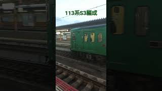 113系S3編成停車